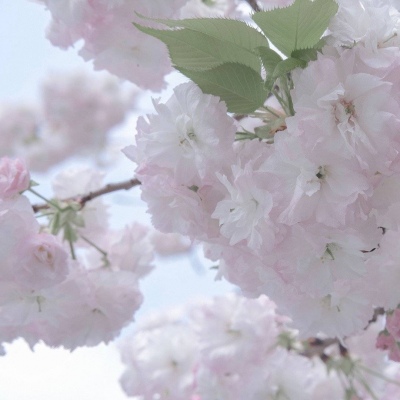 略阳FurryQQ群介绍